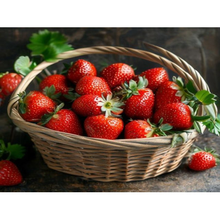 CĂPȘUNI - DAJ MIRELA - Produs Montan