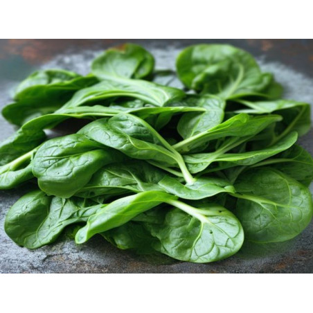 SPANAC - Produs Montan