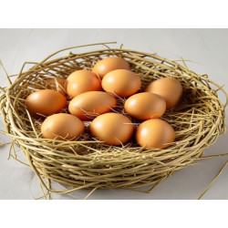 OUĂ „BOCANII” - Produs Montan