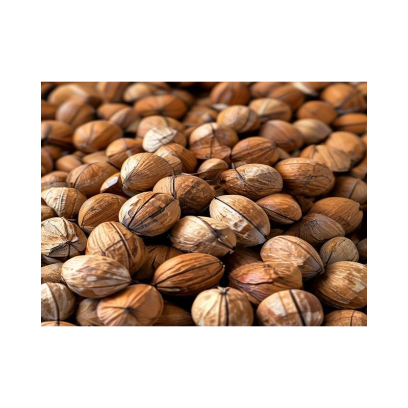 ALUNE DE PĂDURE - GRIGORESCU MARINA - Produs Montan