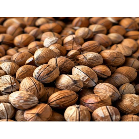 ALUNE DE PĂDURE - GRIGORESCU MARINA - Produs Montan