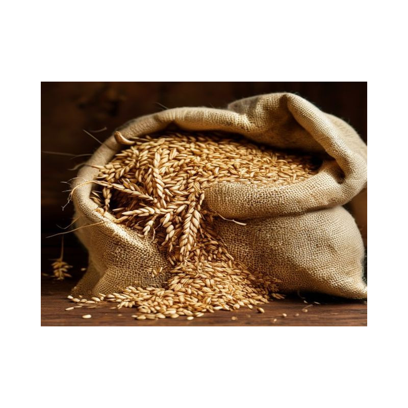 GRÂU PANIFICAȚIE - Produs Montan