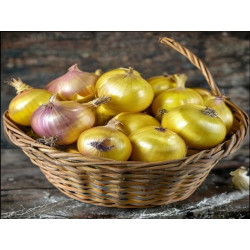 CEAPĂ - VÁRZA - Produs Montan