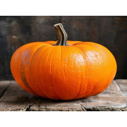 DOVLEAC DE COPT - Produs Montan