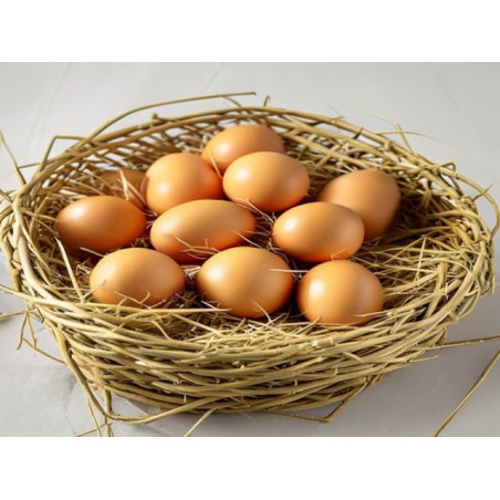 OUĂ - Produs Montan