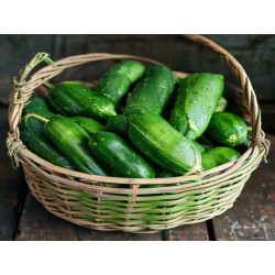 CASTRAVEȚI - MATEI GABRIELA - Produs Montan