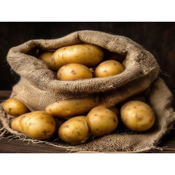 CARTOFI - BÂRSAN IONELA - Produs Montan