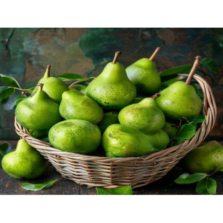 PERE - ȘERBAN LAVINIA - Produs Montan