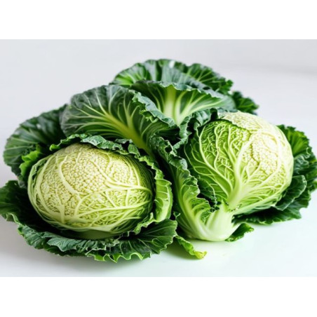 VARZĂ TÂRZIE - Produs Montan