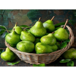 PERE - MOGHINĂ DORELA - Produs Montan