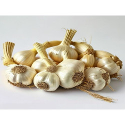 USTUROI VERDE - Produs Montan