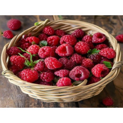 ZMEURĂ - PIELE LILIANA - Produs Montan