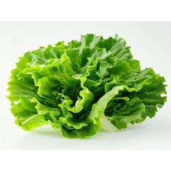 SALATĂ DE TOAMNĂ "CĂMARA CHIVUȚEI" - VEȘTEMEAN PARASCHIVA - Produs Montan