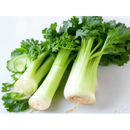 ȚELINĂ BIO - Produs Montan