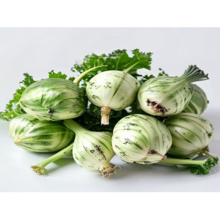 GULII BIO - Produs Montan