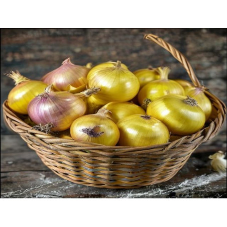 CEAPĂ BIO - Produs Montan