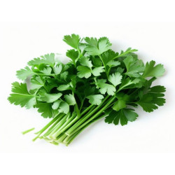 PĂTRUNJEL FRUNZE - Produs Montan