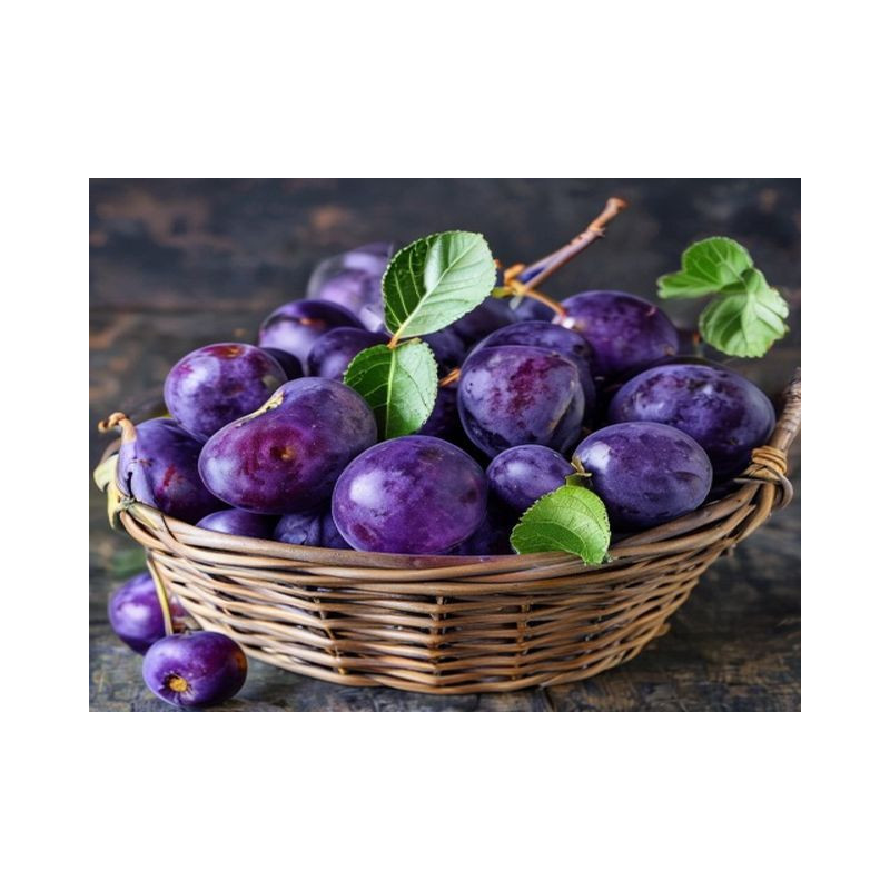 PRUNE VINETE ROMÂNEȘTI DE BUDA - Produs Montan