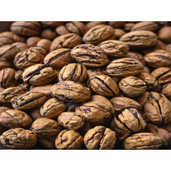 NUCI - GOJE AUXENȚIU - Produs Montan