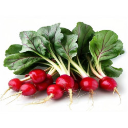 RIDICHI - PAL ARABELA - Produs Montan