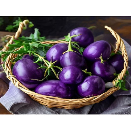 VINETE - PAL ARABELA - Produs Montan