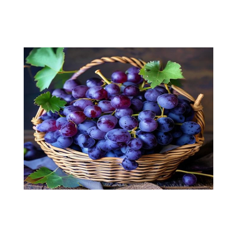 STRUGURI DIN VIȚĂ DE VIE – FETEASCĂ ALBĂ, - Produs Montan