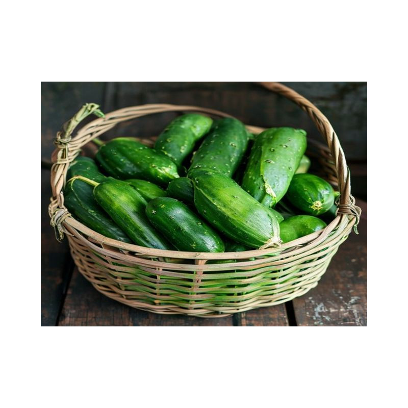 CASTRAVEȚI CORNIȘON - Produs Montan