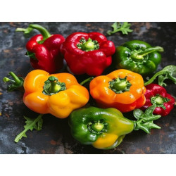 Ardei umplut cu varză - Produs Montan