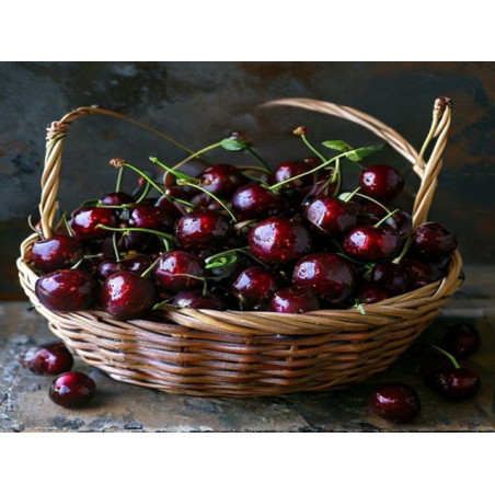 Cireșe soi Grace Star