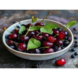 Vișine soi Pandy - Meteor Korai